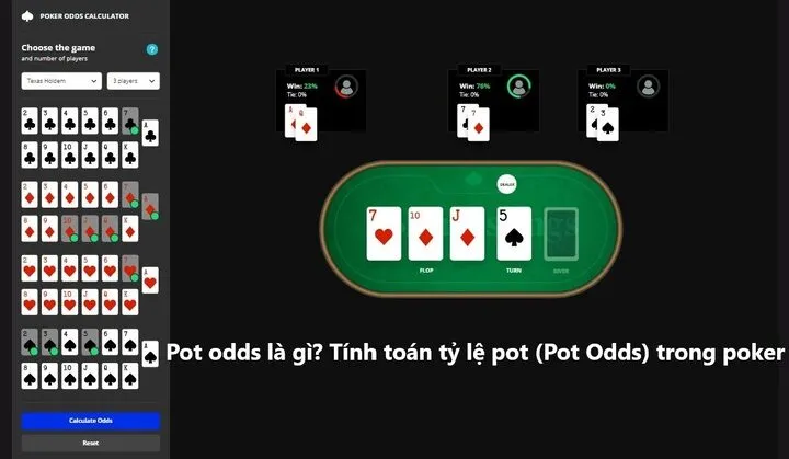 Pot odds là gì? Thông tin người chơi nên biết 